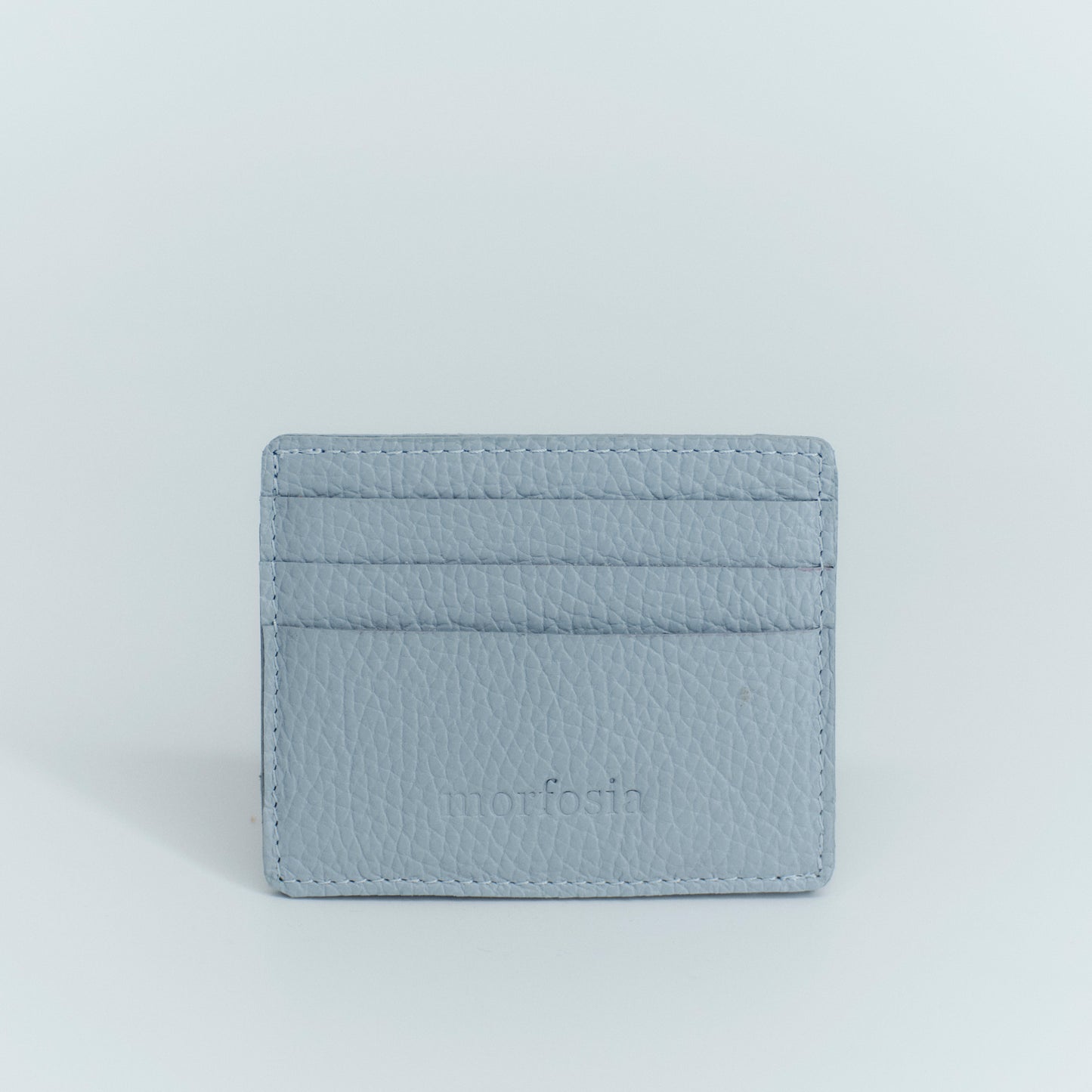 Baby Blue Card Holder