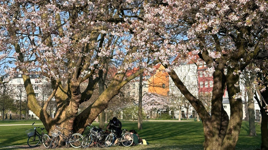 Everyday Exchange Companion, The Nokia Bag