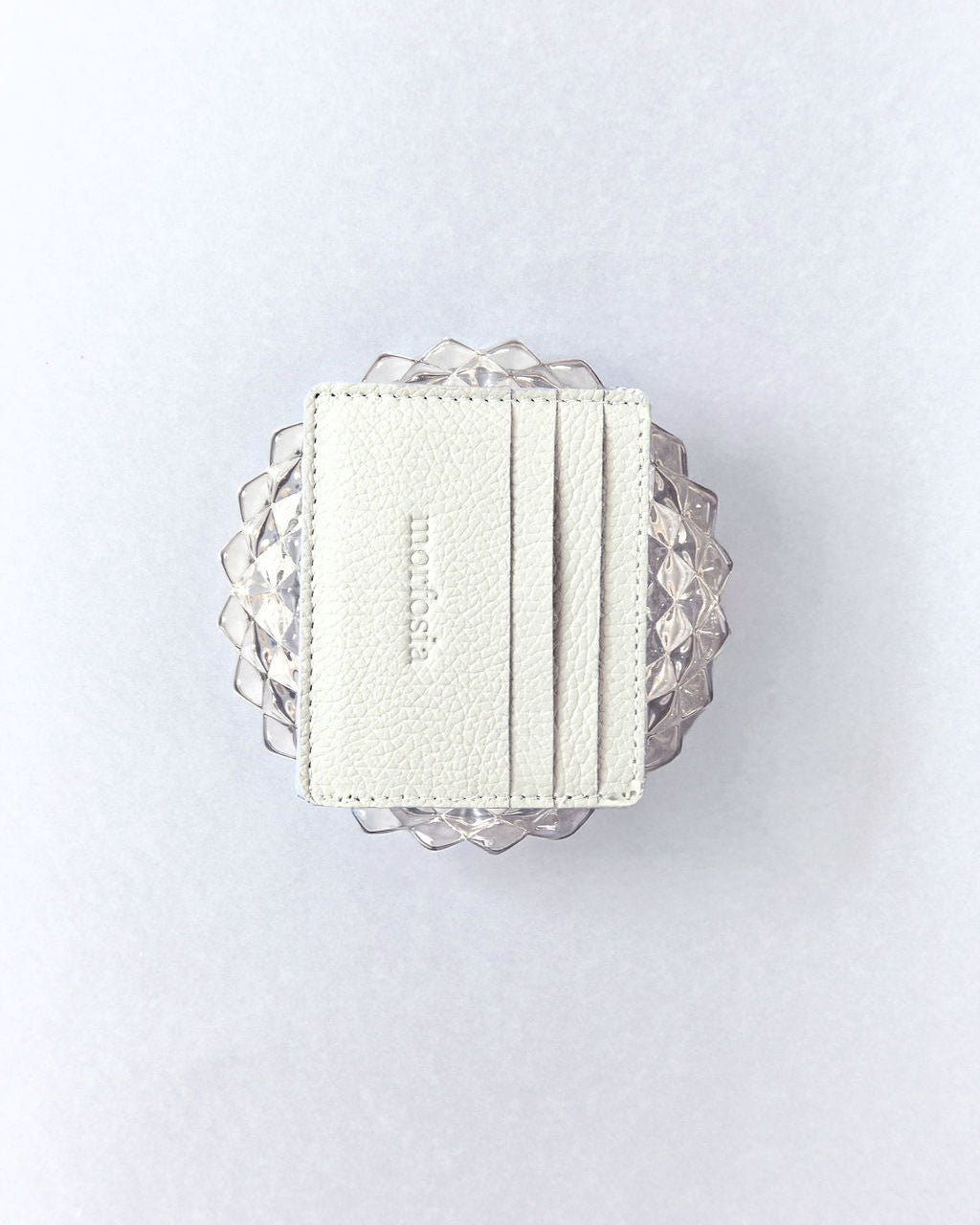 Baby Blue Card Holder