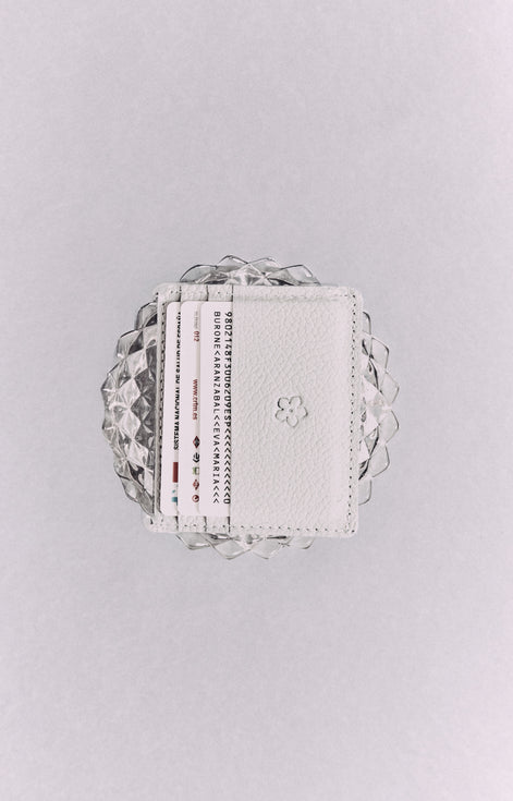 Baby Blue Card Holder