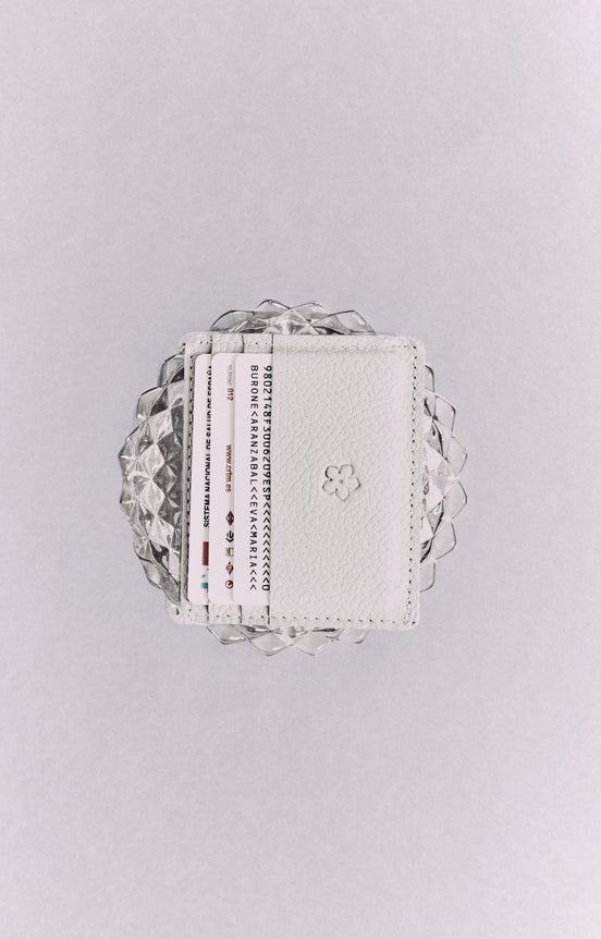 Baby Blue Card Holder