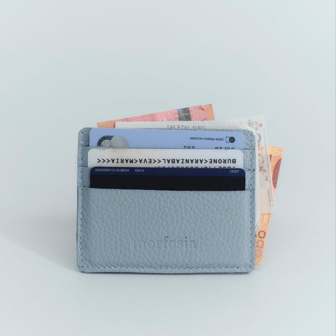Baby Blue Card Holder